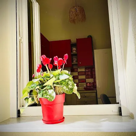 Viverefelix - Genius Loci *