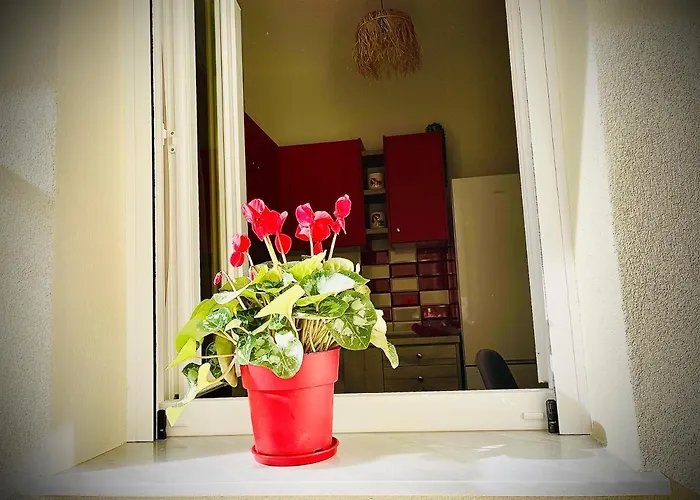 Viverefelix - Genius Loci *